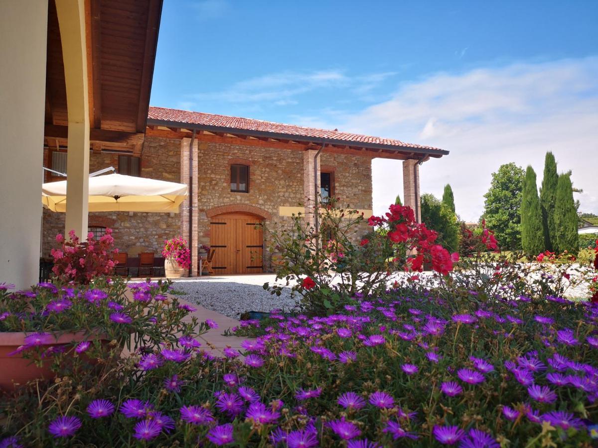 Villa Pizzulin - Wine&Living Prepotto  Exterior foto